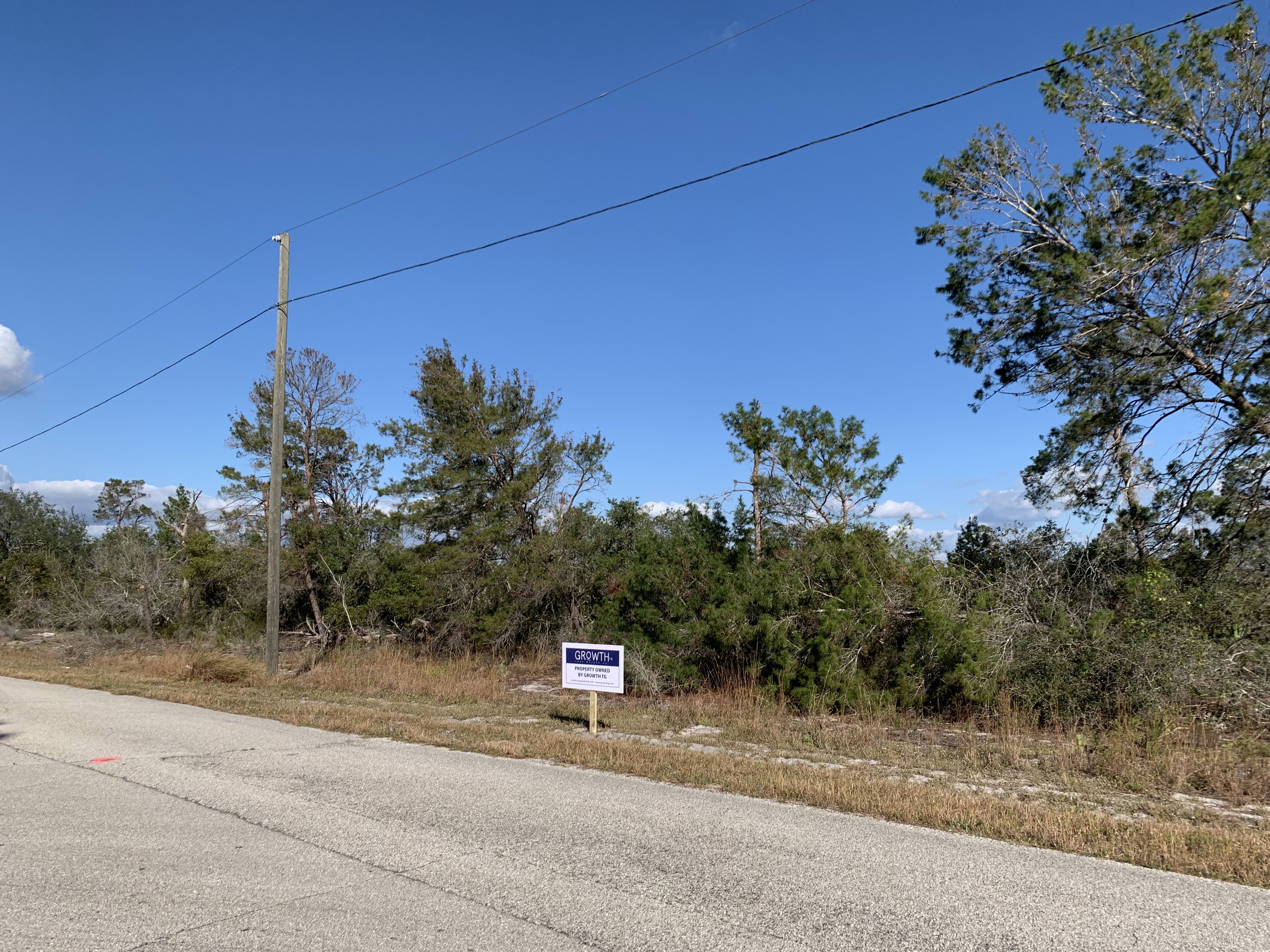 Lake Placid Growth TG