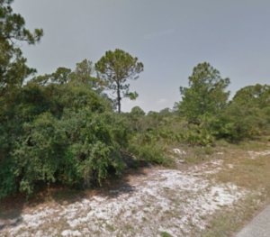 832 Durmon Ave, Lake Placid, Florida