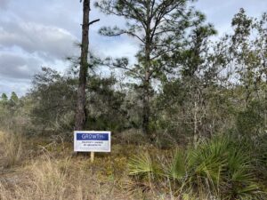 281 Raiwnbow rd, Lake Placid, Florida