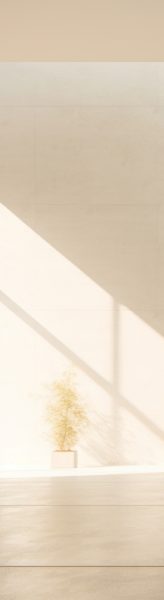 Onx Brochure - On Grandville v1.8