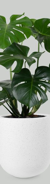 Onx Brochure - On Grandville v1.8